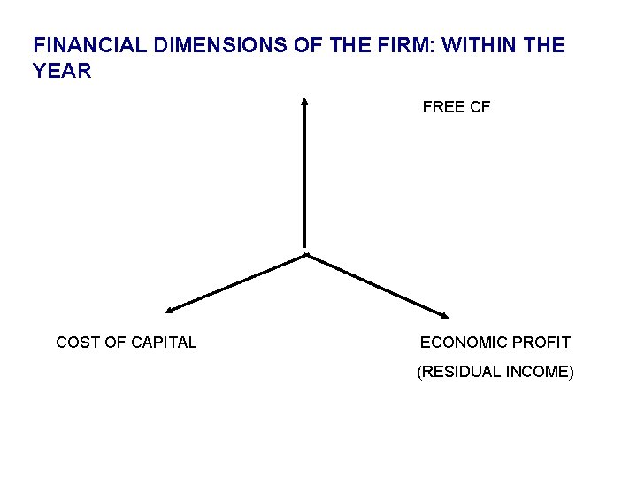 FINANCIAL DIMENSIONS OF THE FIRM: WITHIN THE YEAR FREE CF COST OF CAPITAL ECONOMIC