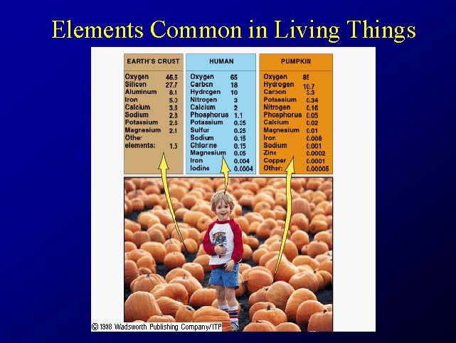 Elements Common in Living Things 