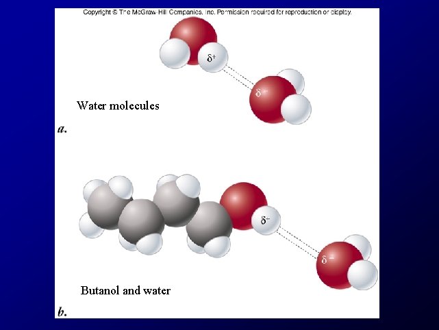 Water molecules Butanol and water 
