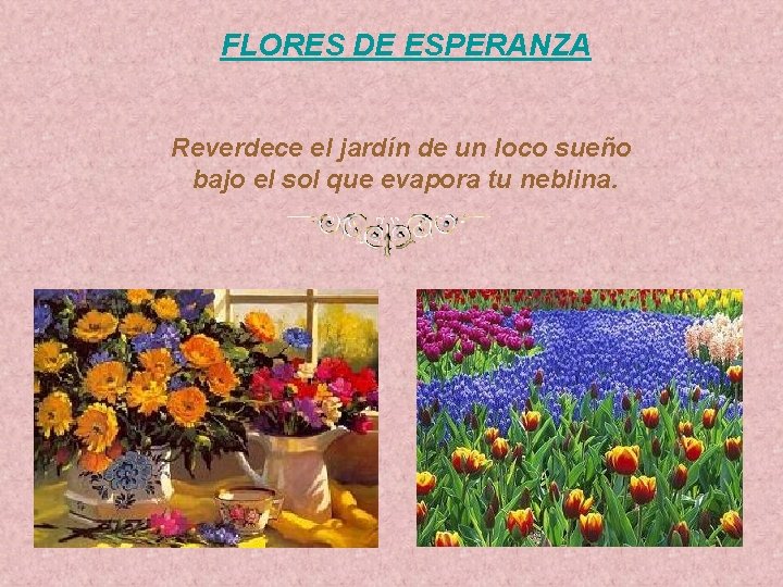 FLORES DE ESPERANZA Reverdece el jardín de un loco sueño bajo el sol que