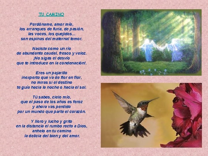 TU CAMINO Perdóname, amor mío, los arranques de furia, de pasión, las voces, los