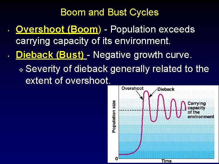 Population Dynamics Chapter 6 1 Fiddle Facts A
