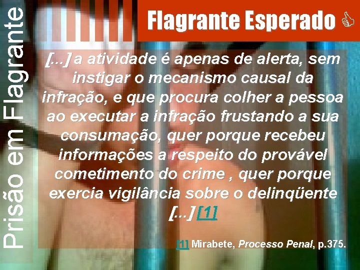 Prisão em Flagrante Esperado . . . a atividade é apenas de alerta, sem