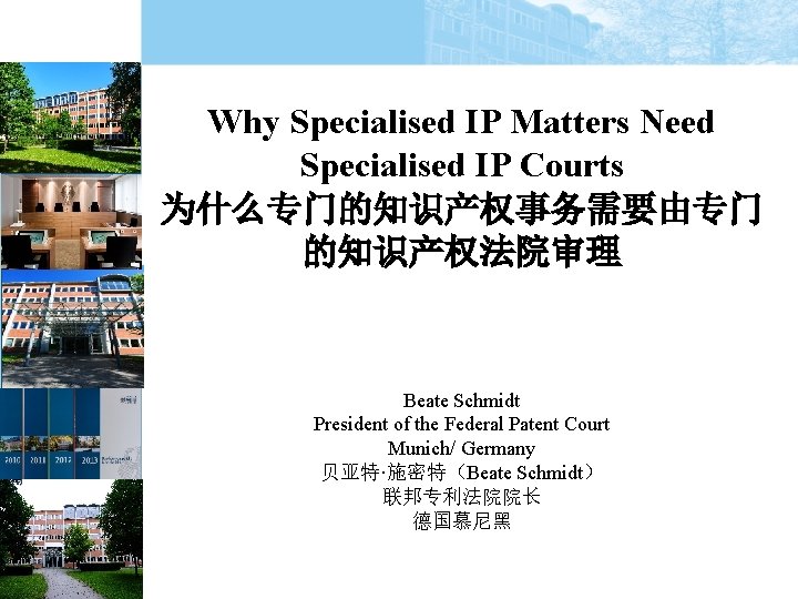Why Specialised IP Matters Need Specialised IP Courts 为什么专门的知识产权事务需要由专门 的知识产权法院审理 Beate Schmidt President of