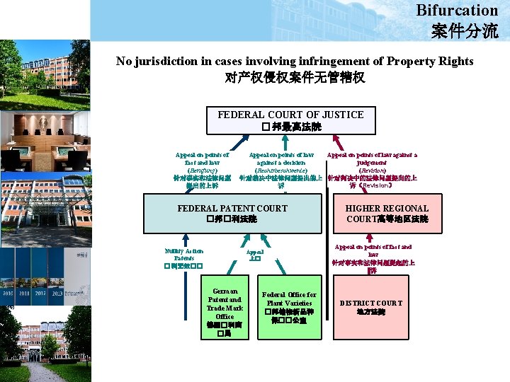 Bifurcation 案件分流 No jurisdiction in cases involving infringement of Property Rights 对产权侵权案件无管辖权 FEDERAL COURT