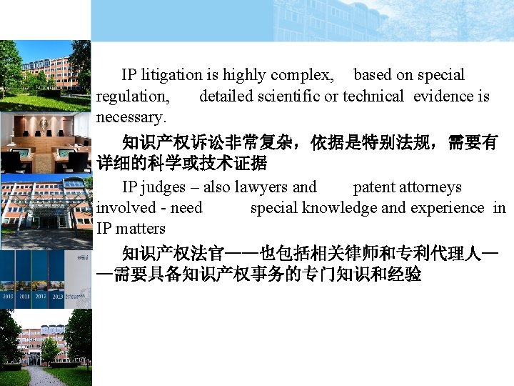 IP litigation is highly complex, based on special regulation, detailed scientific or technical evidence