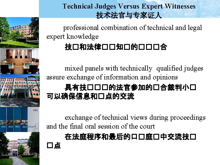 Technical Judges Versus Expert Witnesses 技术法官与专家证人 professional combination of technical and legal expert knowledge
