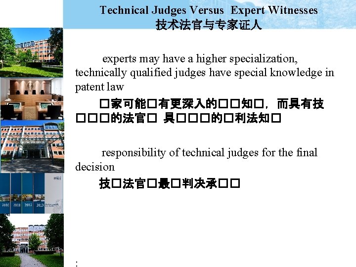 Technical Judges Versus Expert Witnesses 技术法官与专家证人 experts may have a higher specialization, technically qualified