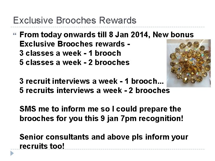 Exclusive Brooches Rewards From today onwards till 8 Jan 2014, New bonus Exclusive Brooches