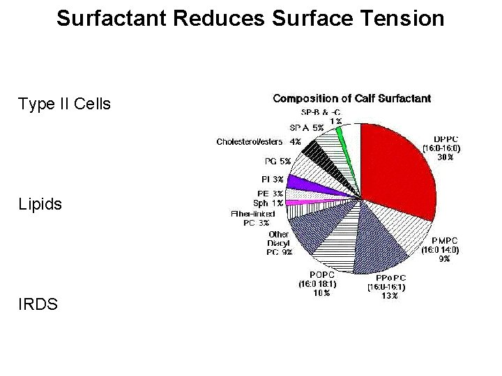Surfactant Reduces Surface Tension Type II Cells Lipids IRDS 