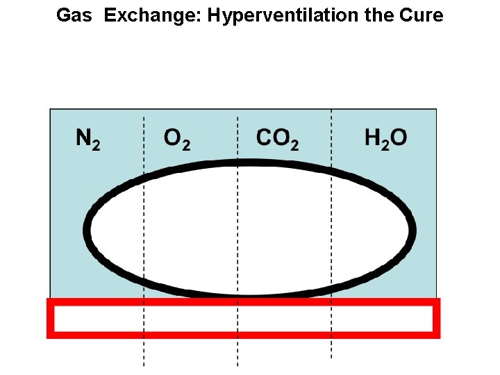 Gas Exchange: Hyperventilation the Cure 