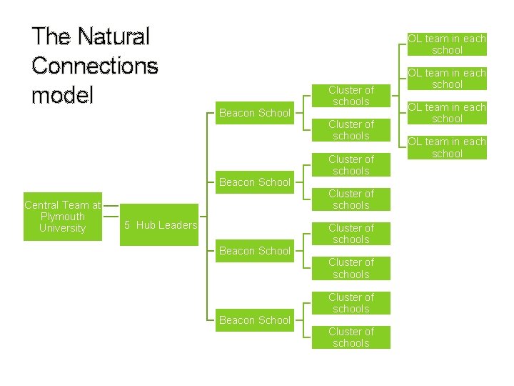 The Natural Connections model OL team in each school Beacon School Central Team at The Natural Connections model OL team in each school Beacon School Central Team at