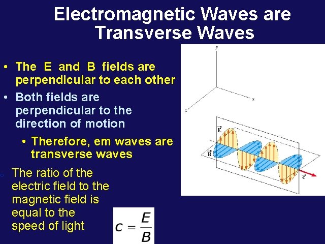 Electromagnetic Waves are Transverse Waves • The E and B fields are perpendicular to