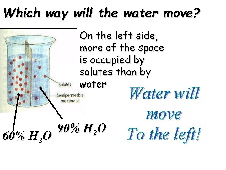 Which way will the water move? On the left side, more of the space