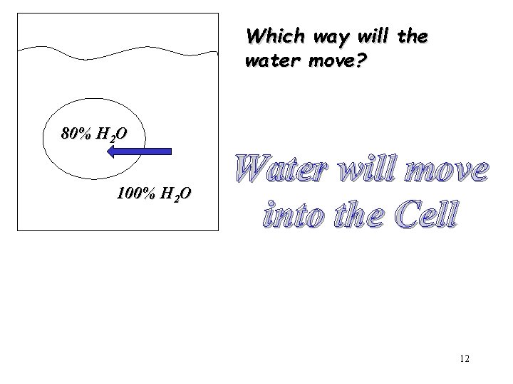 Which way will the water move? 80% H 2 O 100% H 2 O