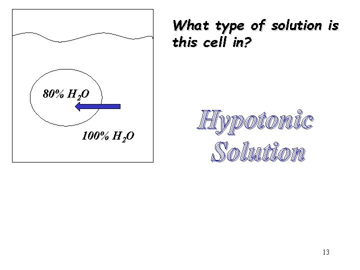 What type of solution is this cell in? 80% H 2 O 100% H