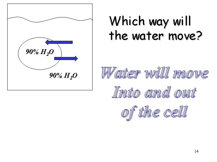 Which way will the water move? 90% H 2 O Water will move Into