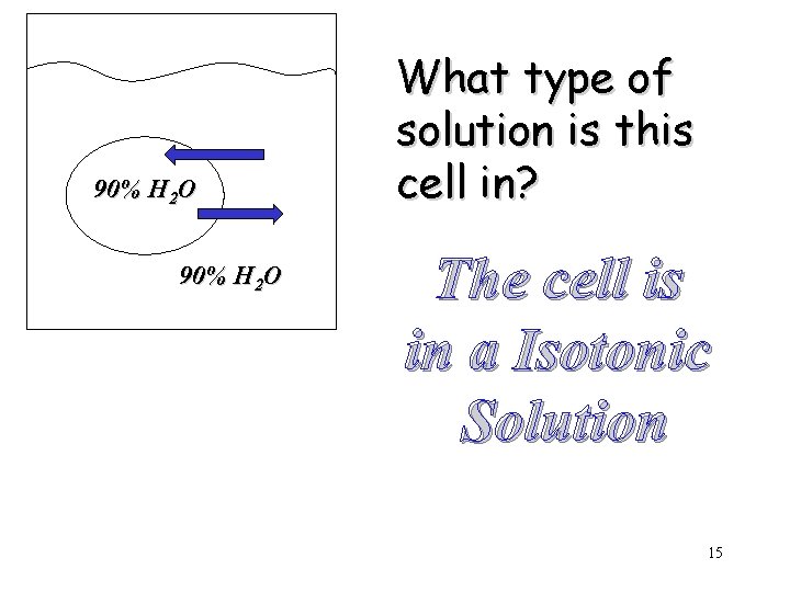 90% H 2 O What type of solution is this cell in? The cell