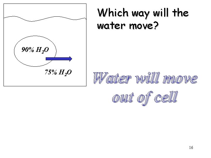 Which way will the water move? 90% H 2 O 75% H 2 O