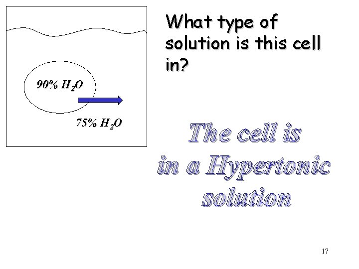 What type of solution is this cell in? 90% H 2 O 75% H