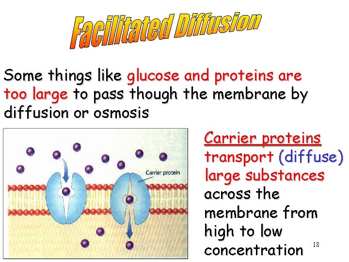 Some things like glucose and proteins are too large to pass though the membrane