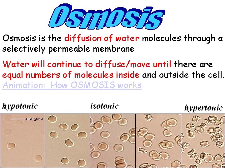 Osmosis is the diffusion of water molecules through a selectively permeable membrane Water will