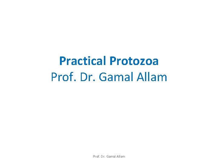 Practical Protozoa Prof. Dr. Gamal Allam 