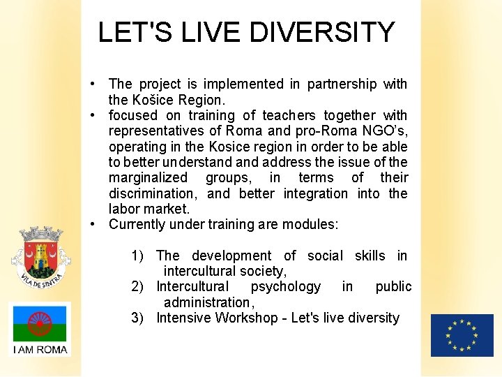 LET'S LIVE DIVERSITY • The project is implemented in partnership with the Košice Region.