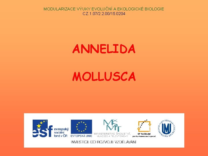 MODULARIZACE VÝUKY EVOLUČNÍ A EKOLOGICKÉ BIOLOGIE CZ. 1. 07/2. 2. 00/15. 0204 ANNELIDA MOLLUSCA