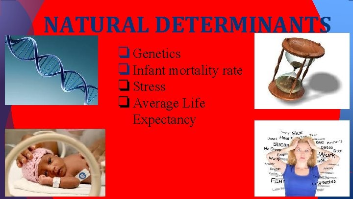 NATURAL DETERMINANTS ❏ Genetics ❏ Infant mortality rate ❏ Stress ❏ Average Life Expectancy