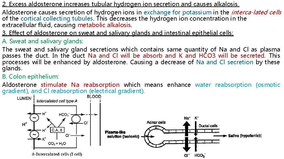 2. Excess aldosterone increases tubular hydrogen ion secretion and causes alkalosis. Aldosterone causes secretion