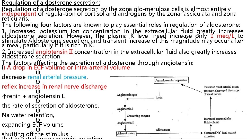 Regulation of aldosterone secretion: Regulation of aldosterone secretion by the zona glo merulosa cells