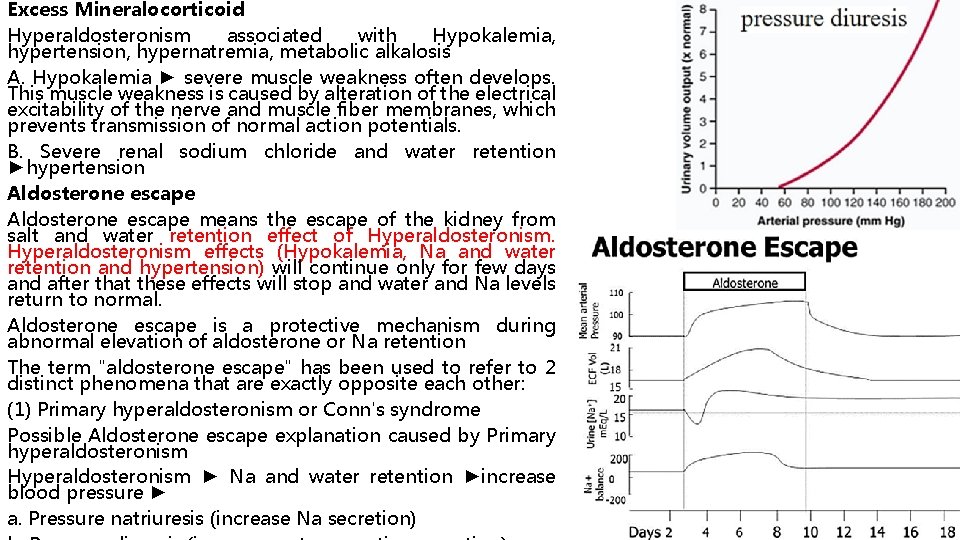 Excess Mineralocorticoid Hyperaldosteronism associated with Hypokalemia, hypertension, hypernatremia, metabolic alkalosis A. Hypokalemia ► severe