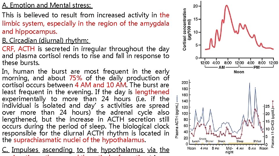 A. Emotion and Mental stress: This is believed to result from increased activity in