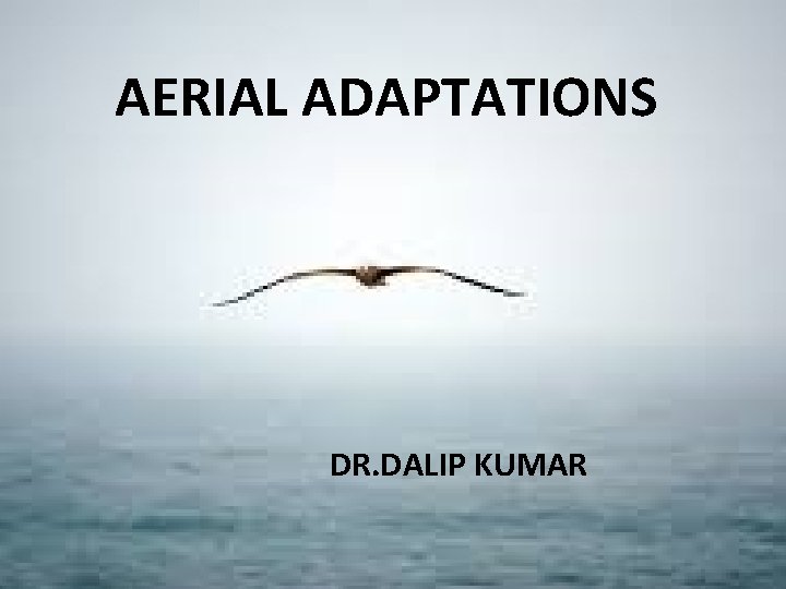 AERIAL ADAPTATIONS DR. DALIP KUMAR 