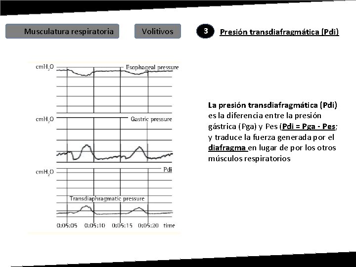 Musculatura respiratoria Volitivos 3 Presión transdiafragmática (Pdi) La presión transdiafragmática (Pdi) es la diferencia