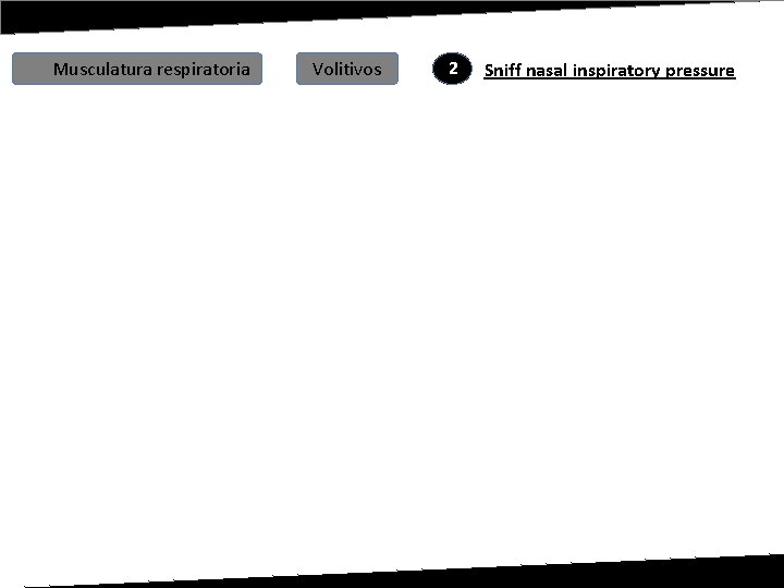 Musculatura respiratoria Volitivos 2 Sniff nasal inspiratory pressure 