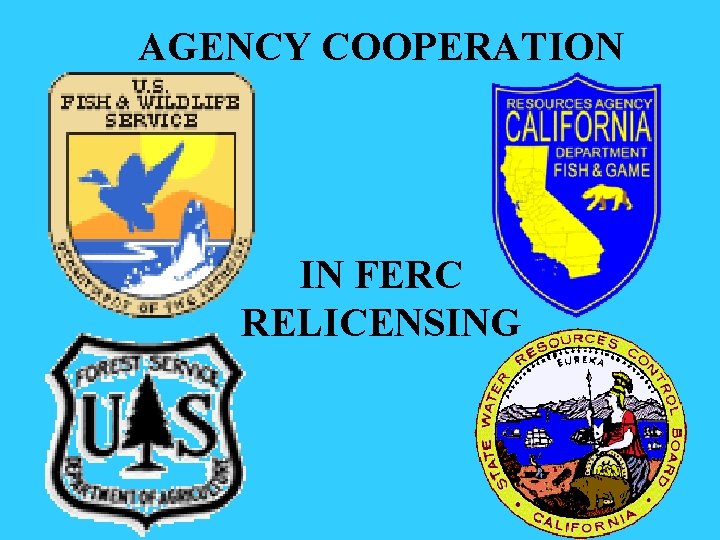 AGENCY COOPERATION IN FERC RELICENSING 