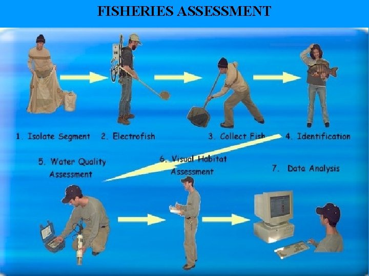 FISHERIES ASSESSMENT 