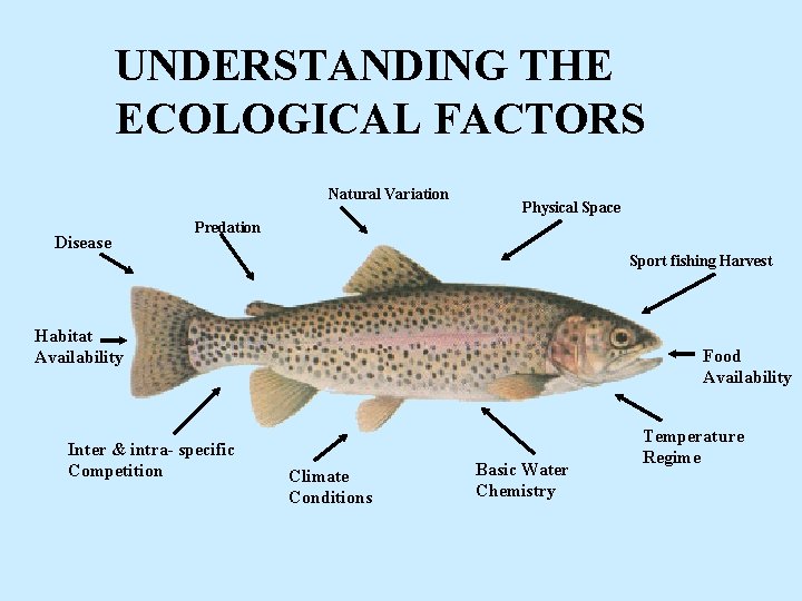 UNDERSTANDING THE ECOLOGICAL FACTORS Natural Variation Disease Physical Space Predation Sport fishing Harvest Habitat