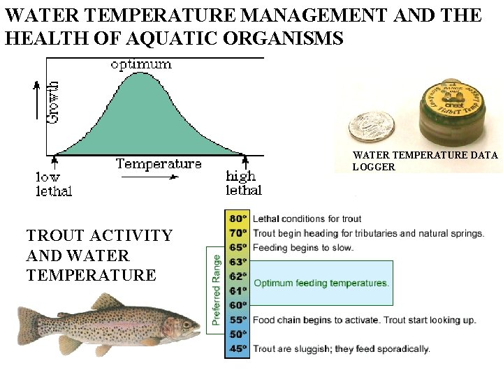 WATER TEMPERATURE MANAGEMENT AND THE HEALTH OF AQUATIC ORGANISMS WATER TEMPERATURE DATA LOGGER TROUT