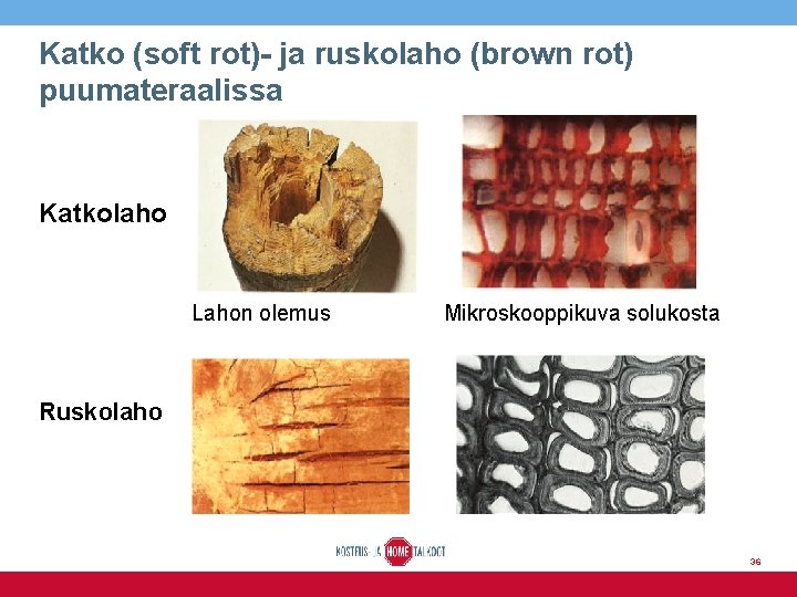 Katko (soft rot)- ja ruskolaho (brown rot) puumateraalissa Katkolaho Lahon olemus Mikroskooppikuva solukosta Ruskolaho