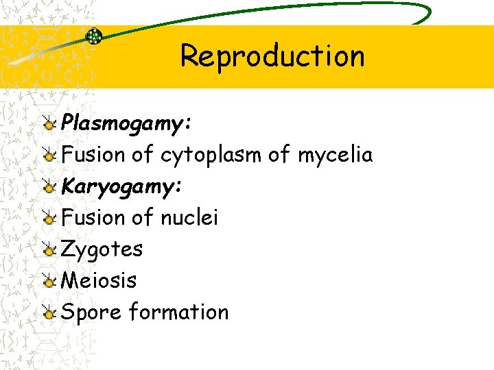 Reproduction Plasmogamy: Fusion of cytoplasm of mycelia Karyogamy: Fusion of nuclei Zygotes Meiosis Spore