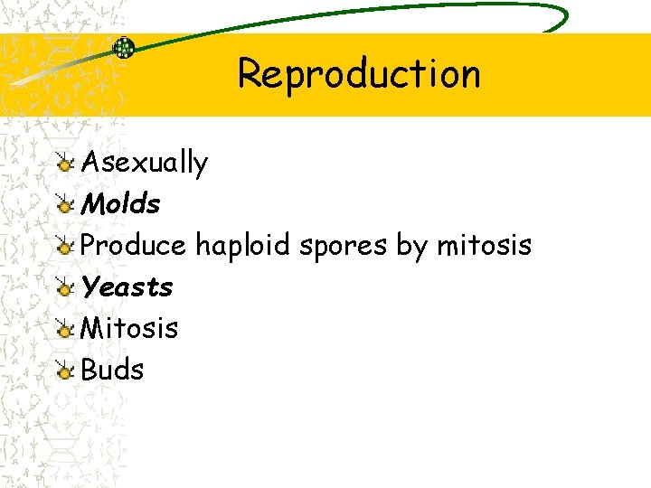 Reproduction Asexually Molds Produce haploid spores by mitosis Yeasts Mitosis Buds 