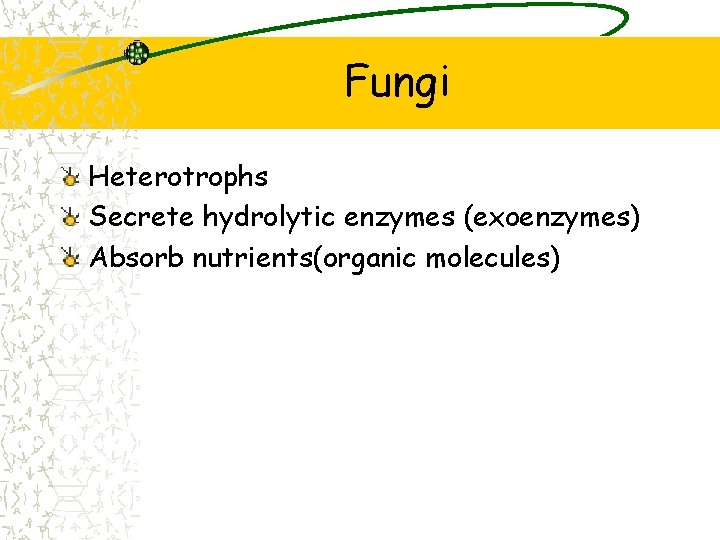 Fungi Heterotrophs Secrete hydrolytic enzymes (exoenzymes) Absorb nutrients(organic molecules) 