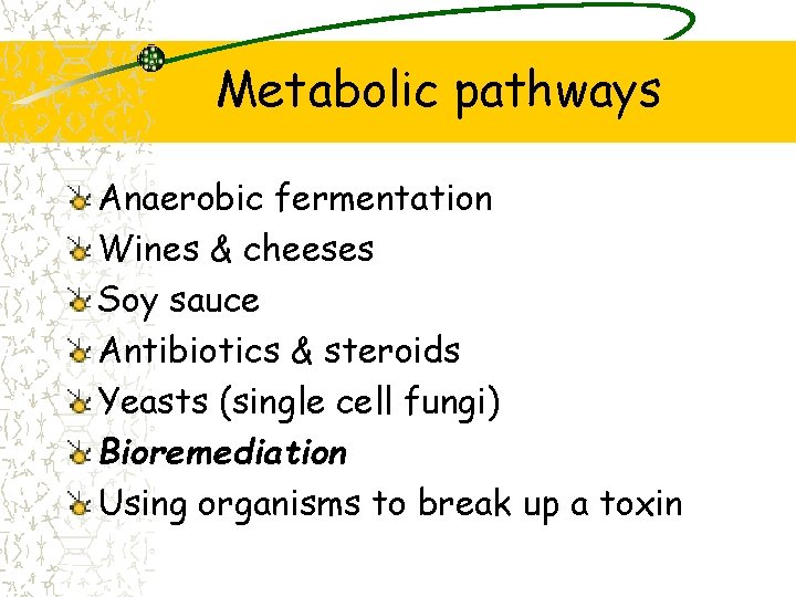 Metabolic pathways Anaerobic fermentation Wines & cheeses Soy sauce Antibiotics & steroids Yeasts (single