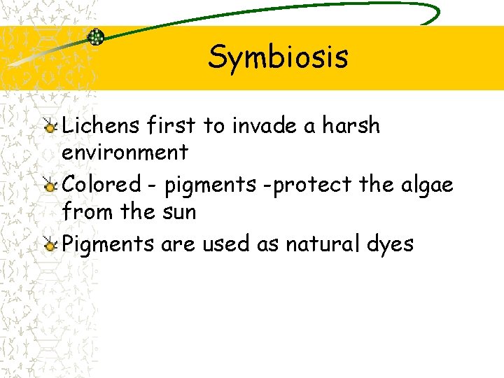 Symbiosis Lichens first to invade a harsh environment Colored - pigments -protect the algae