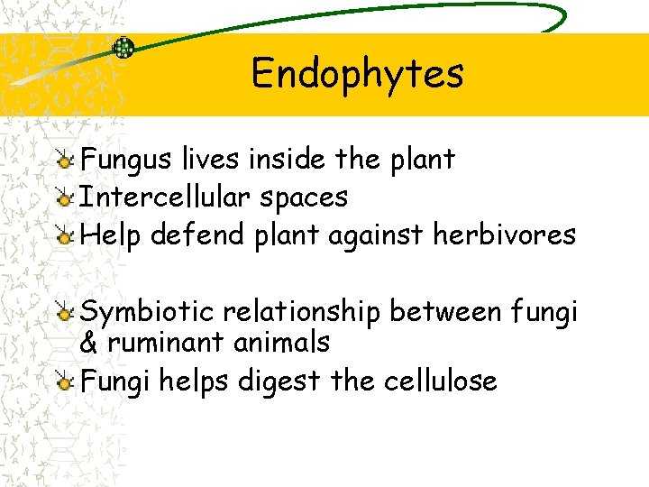 Endophytes Fungus lives inside the plant Intercellular spaces Help defend plant against herbivores Symbiotic Endophytes Fungus lives inside the plant Intercellular spaces Help defend plant against herbivores Symbiotic