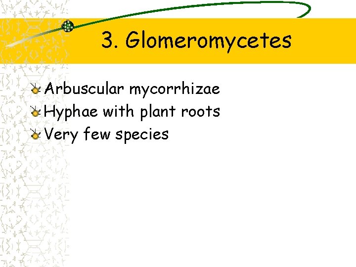 3. Glomeromycetes Arbuscular mycorrhizae Hyphae with plant roots Very few species 3. Glomeromycetes Arbuscular mycorrhizae Hyphae with plant roots Very few species