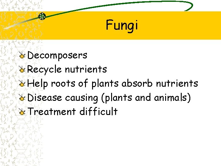 Fungi Decomposers Recycle nutrients Help roots of plants absorb nutrients Disease causing (plants and Fungi Decomposers Recycle nutrients Help roots of plants absorb nutrients Disease causing (plants and